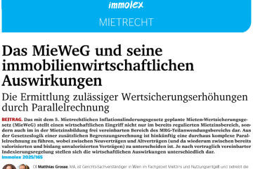 Titel immolex-Artikel